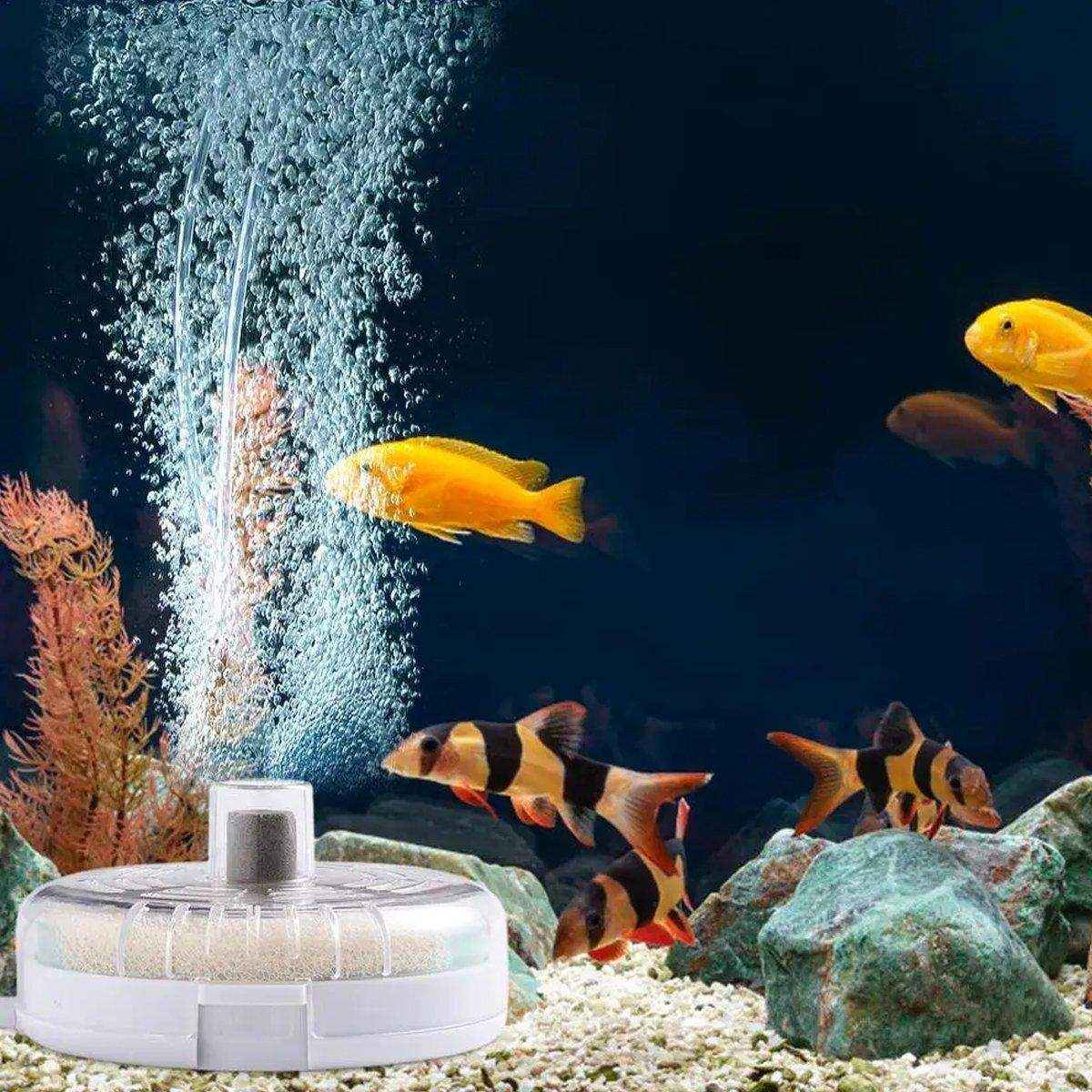 Powerful Internal Fish Tank Filter Submersible Filtration System with Oxygenation