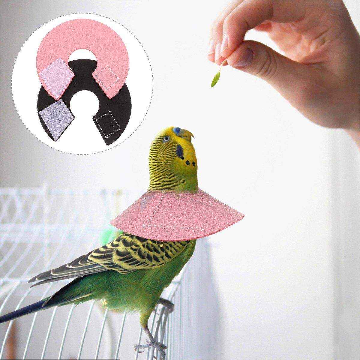 Parrot Bird Elizabeth Circle Anti-biting Hair Picking Hair Injury Protection