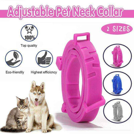 Pet wearing tick collar for dogs in waterproof outdoor setting