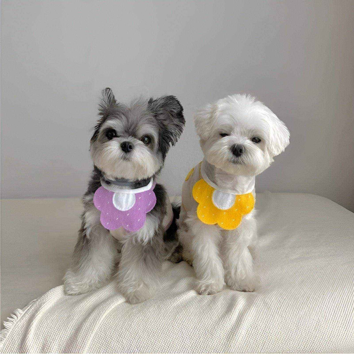 Adorable Dog Bibs with Flower & Bee Design for Stylish Pets