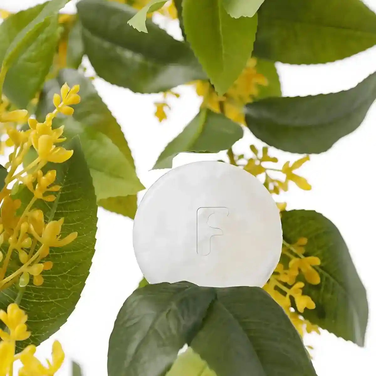 Furbulous 3 Piece Deodorant Bar Pet Odor Eliminator Natural and Long-Lasting Freshness