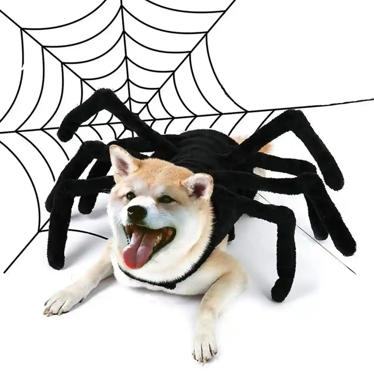 Halloween Pet Spider Costume Creepy & Cute Halloween Outfit for Pets