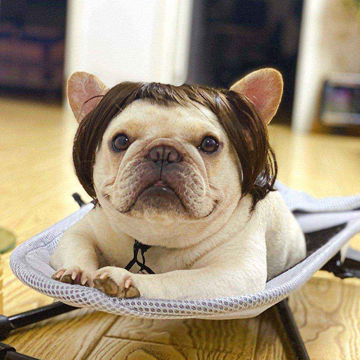 Stylish Funny Pet Wig With Bangs Fun and Comfortable