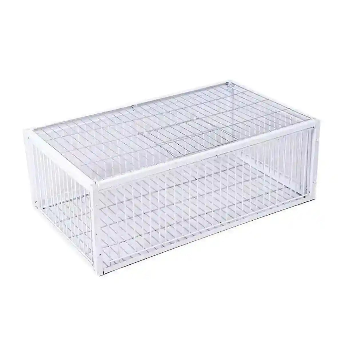 Premium Pigeon Cage with Secure Encrypted Spacing