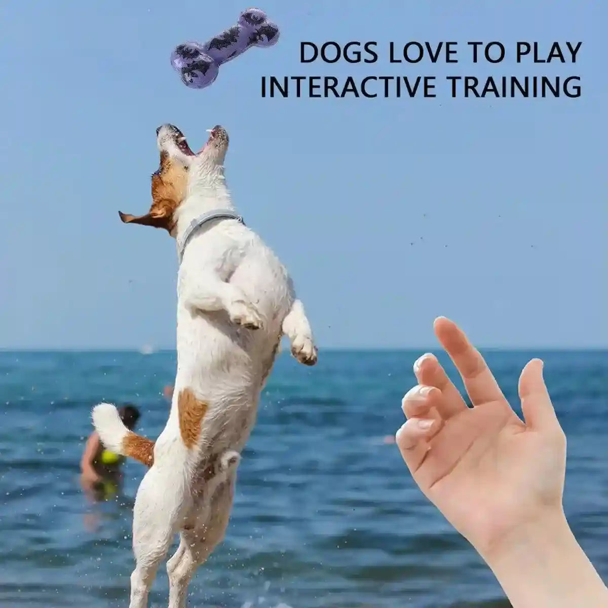 Interactive Dog Bone Chew Toy for Dental Health Durable TPR Material Grey & Blue