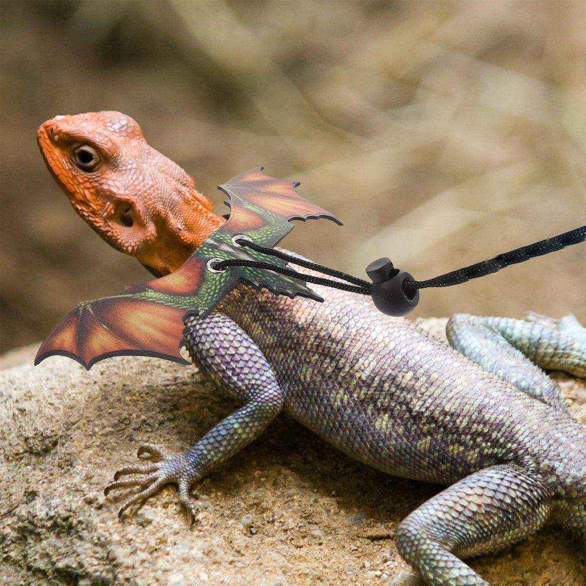 Small Pet Harness with Wings Climbing Rope Leather Chest Lead for Walking