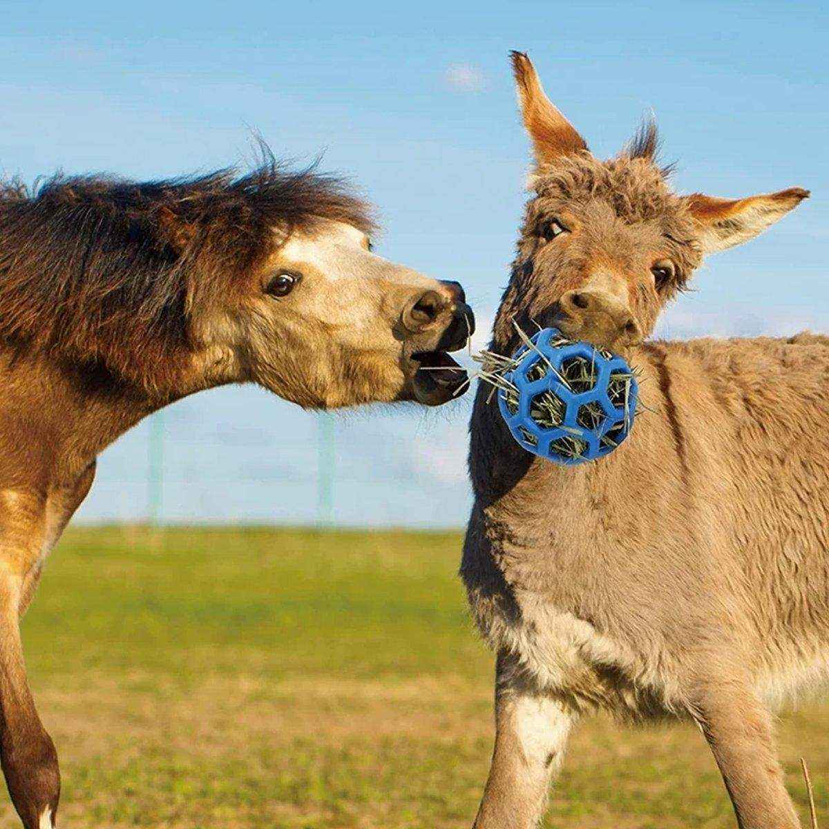 Hanging Hay Feeders Stable Feed Polo Feeding Balls Toy for Horses and Livestock