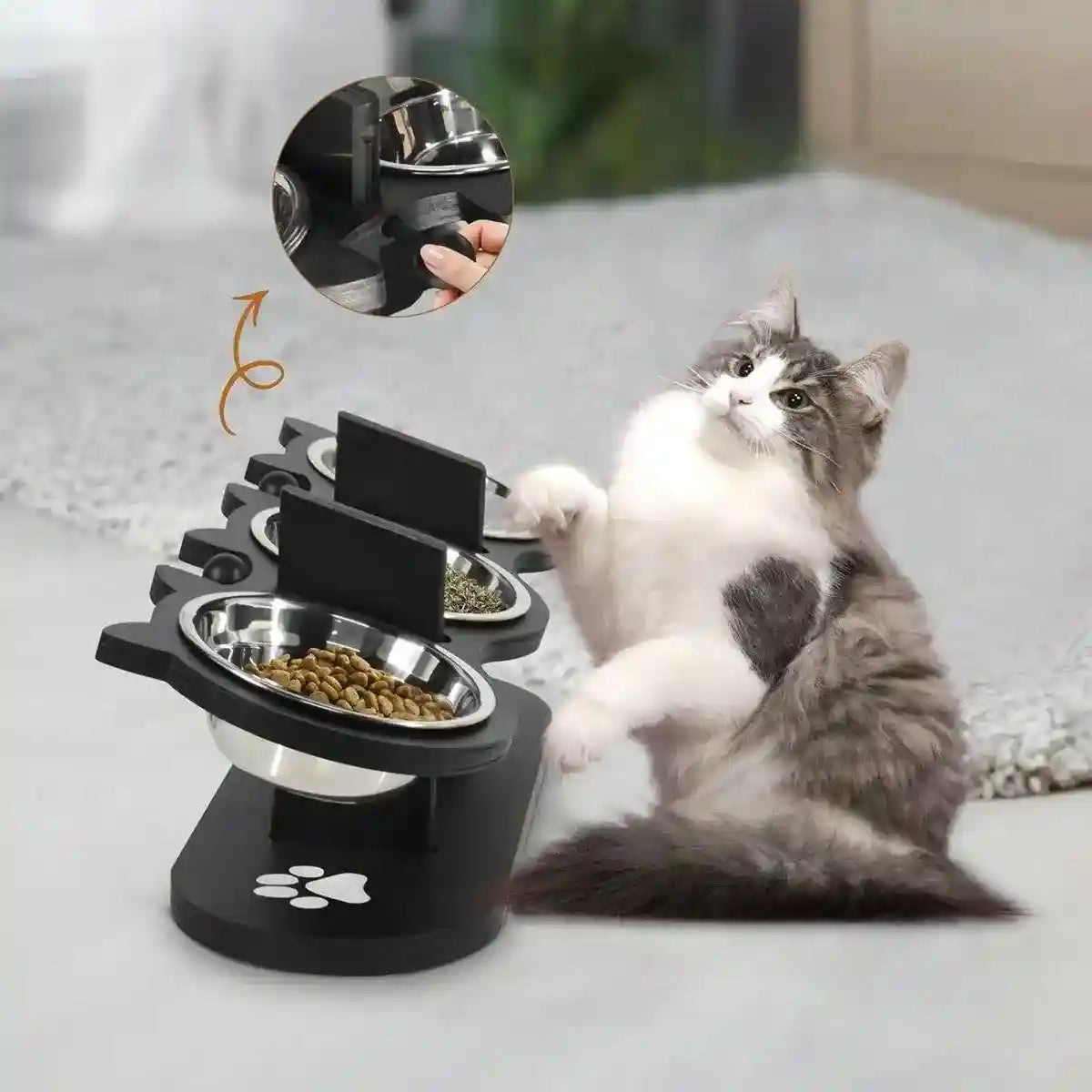 Non-Slip 3-in-1 Stainless Steel Pet Bowl For Dogs and Cats