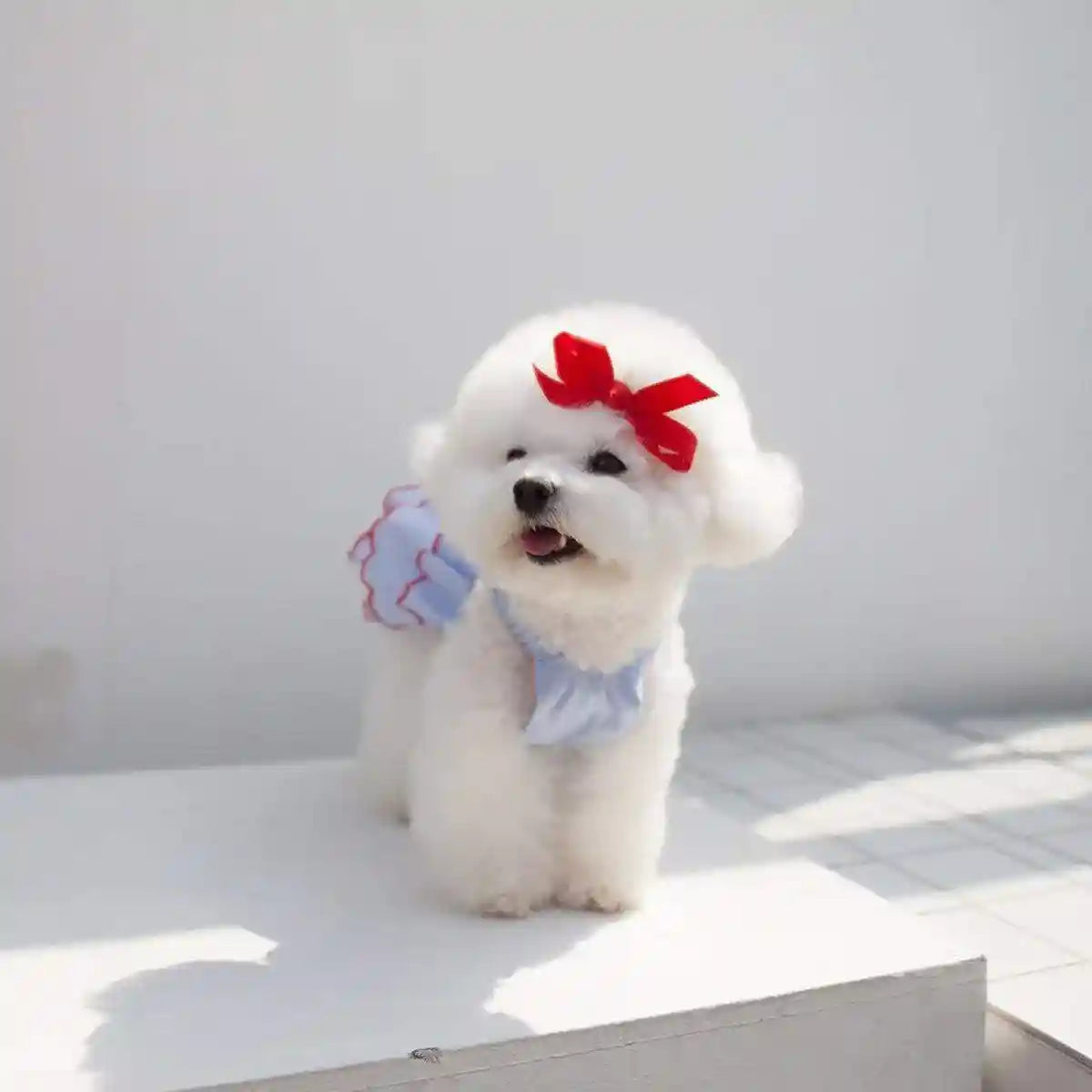 Summer Pet Princess Skirt Cat Dog Dress