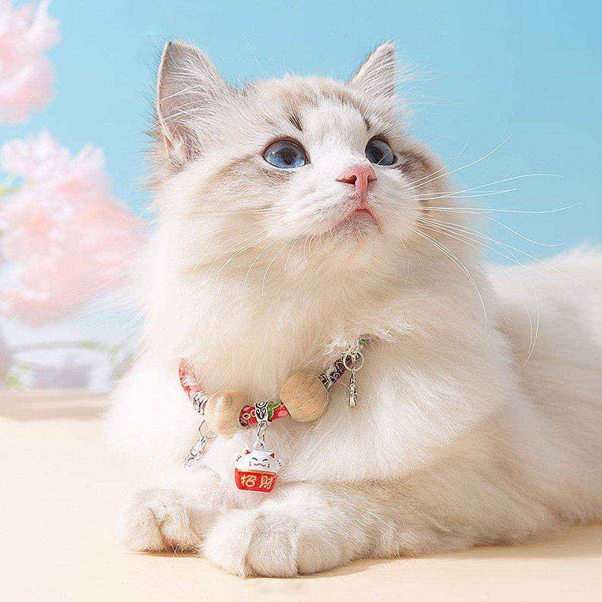 Pet Bell Necklace Designer Cat Flea Collar Dog Insect Repellent