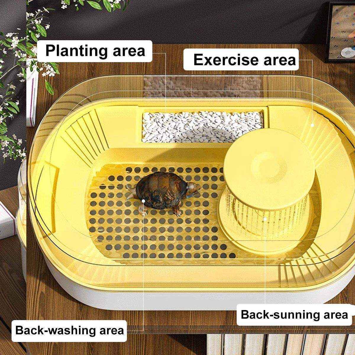 Turtle Special Feeding Tank Sunset Small Ecological Tank Feeding Box Landscape Filter