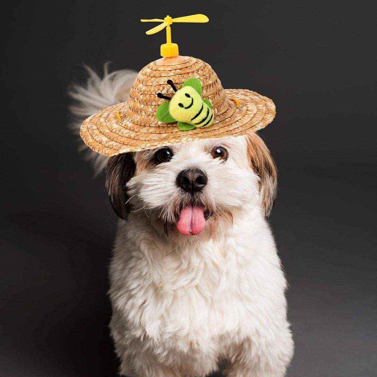 Pet Straw Hat Bamboo Dragonfly Cat And Dog Headwear Puppy Sun Hat Decoration