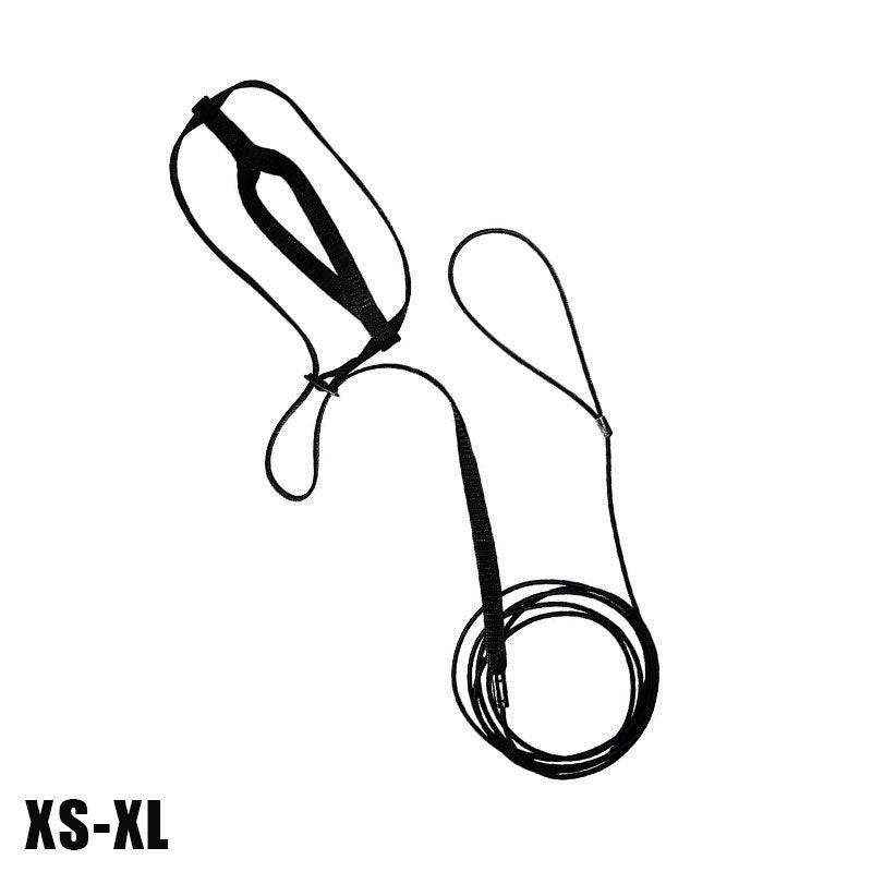 Outdoor Parrot Harness with Adjustable Bird Leash for Safe Flying