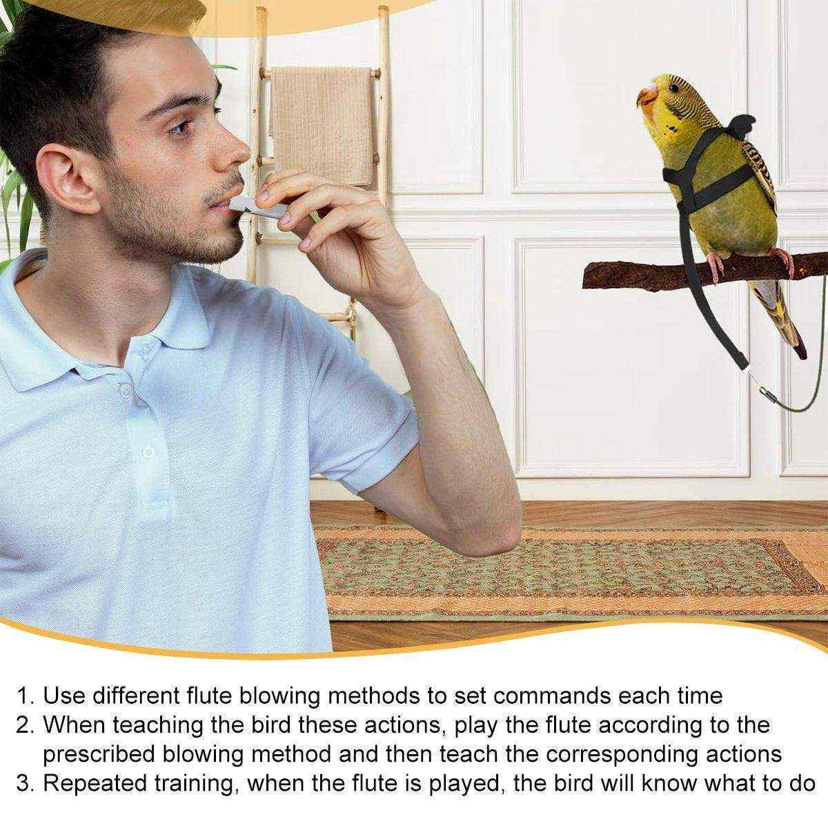 Bird Training Whistle Pet Bird Equipment Tease Lead Whistle for Pet Birds Parrot