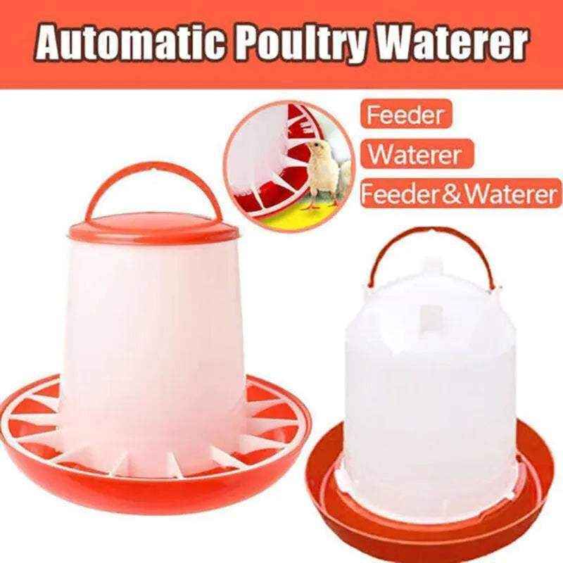 Automatic chicken feeder and waterer set for backyard poultry care.