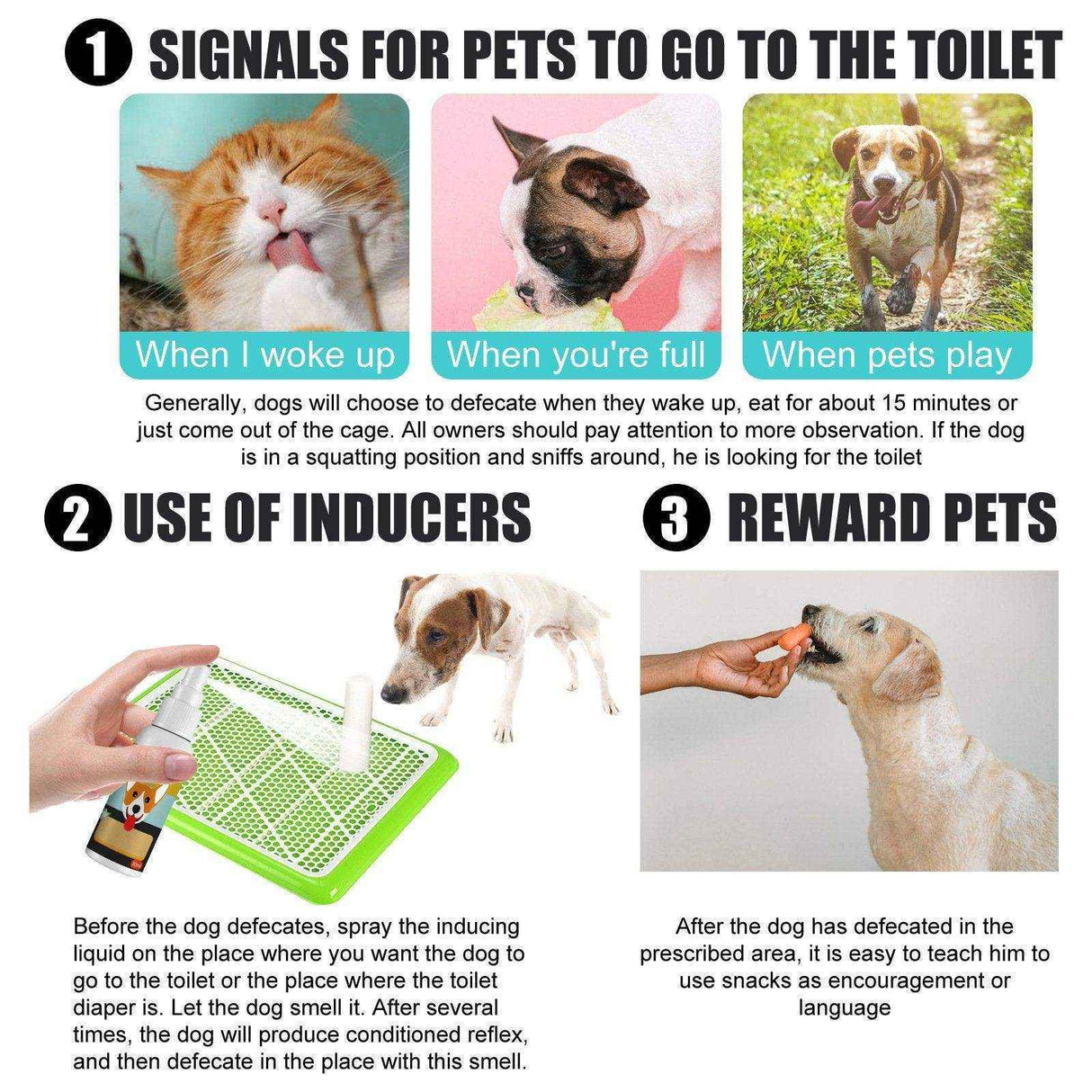 Cat And Dog Defecation Positioning Inducer