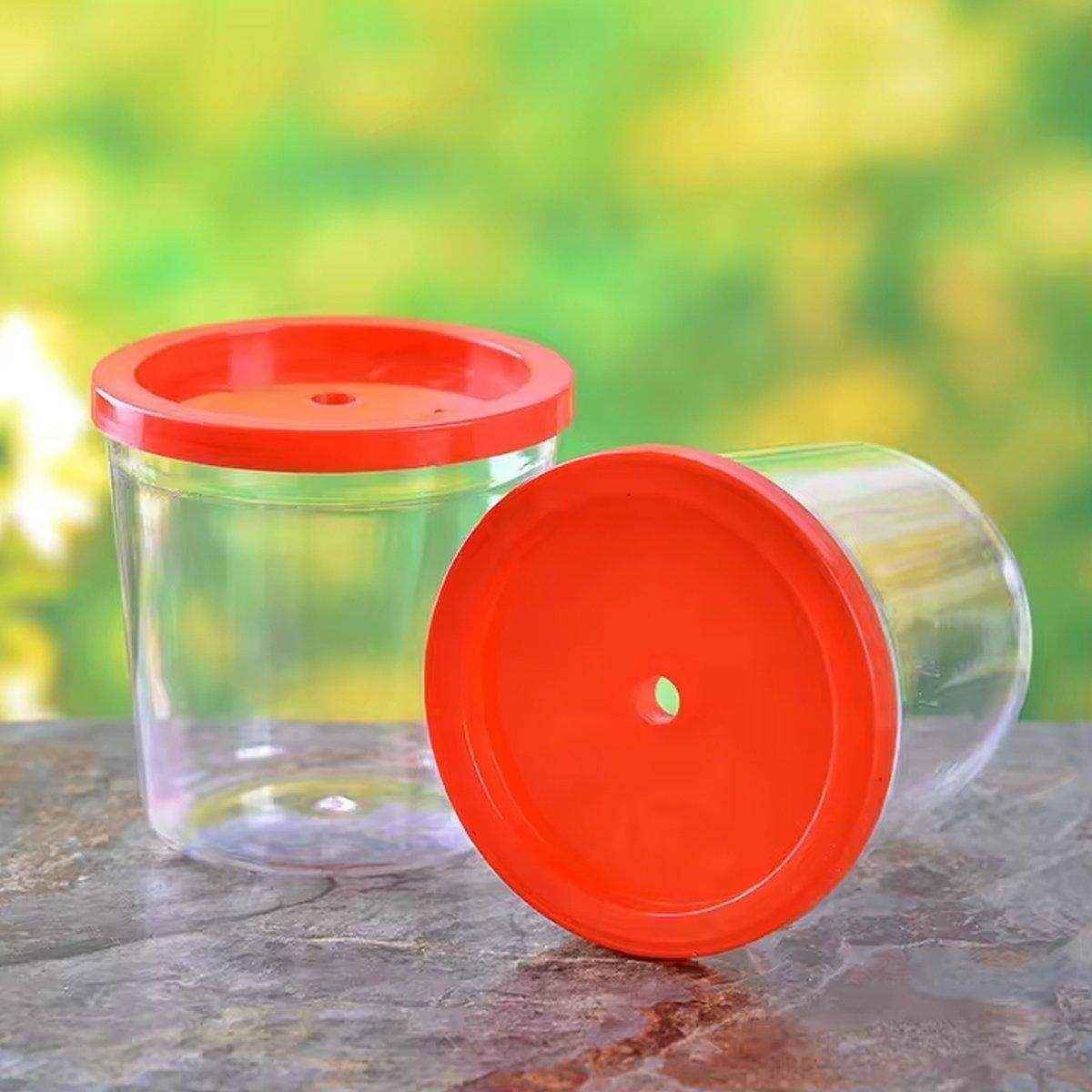 Mini Hand-held Padded Betta Cup Batch Jellyfish Cup Plastic Small Fish Tank