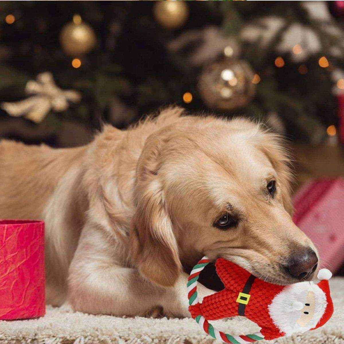 Pet Christmas Plush Toy - Festive Dog Bite Companion