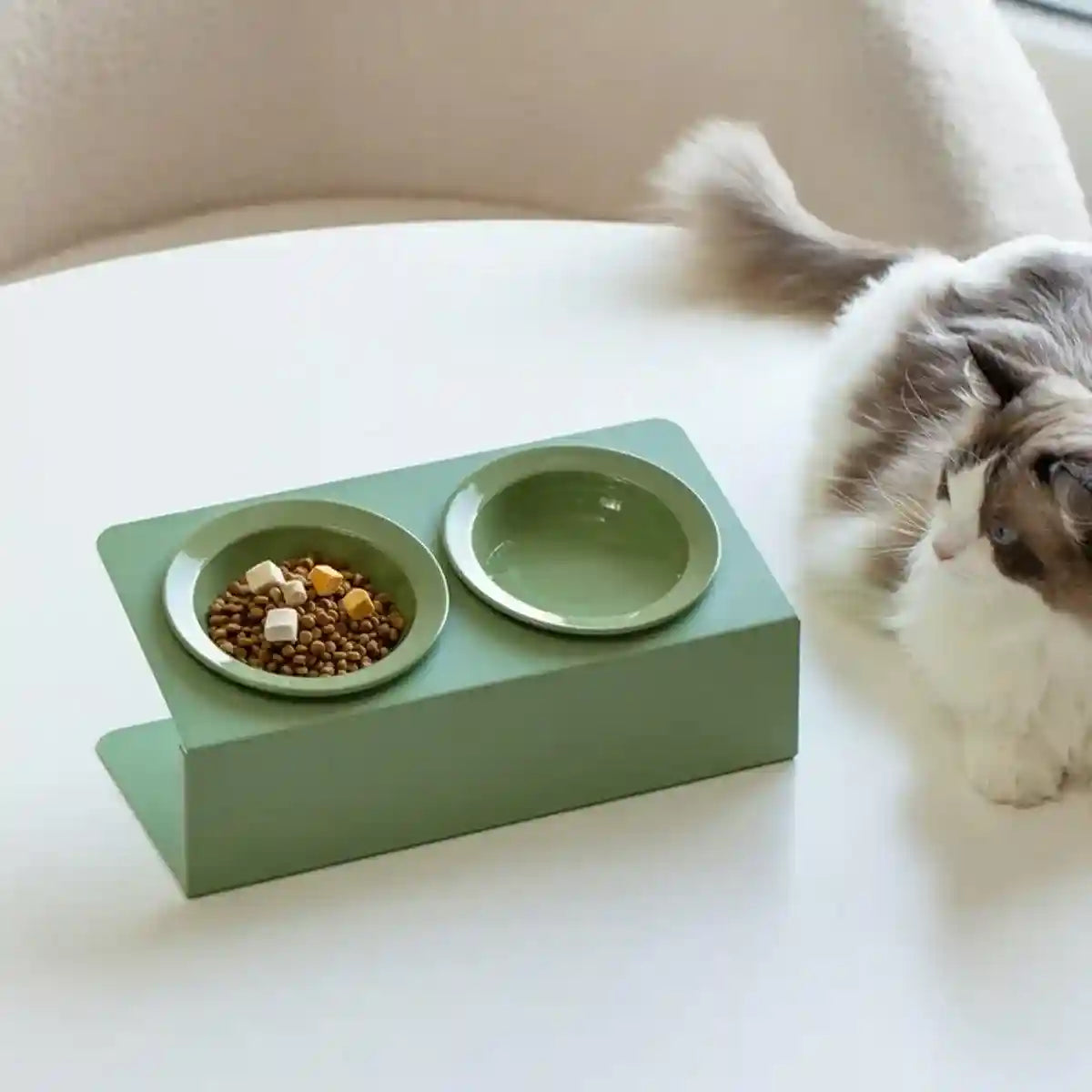 Ceramic Double Cat Bowl with Tilt Stand Elevated Pet Feeder for Comfort