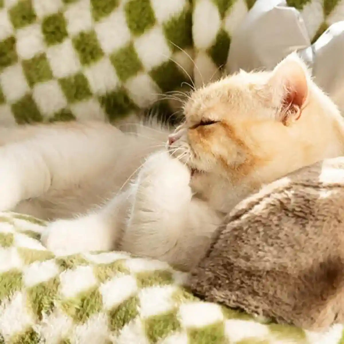 Orthopedic Cat & Dog Sofa Bed Supportive & Cozy Pet Couch