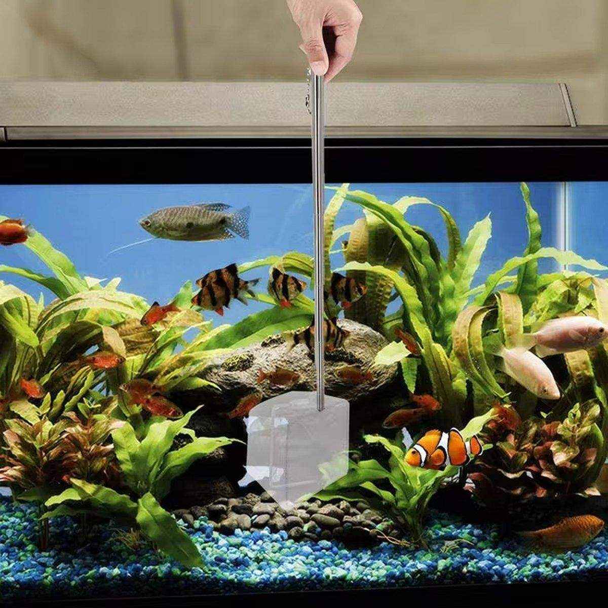 Stainless Steel Retractable Aquarium Fish Net - Telescopic Fish Scoop