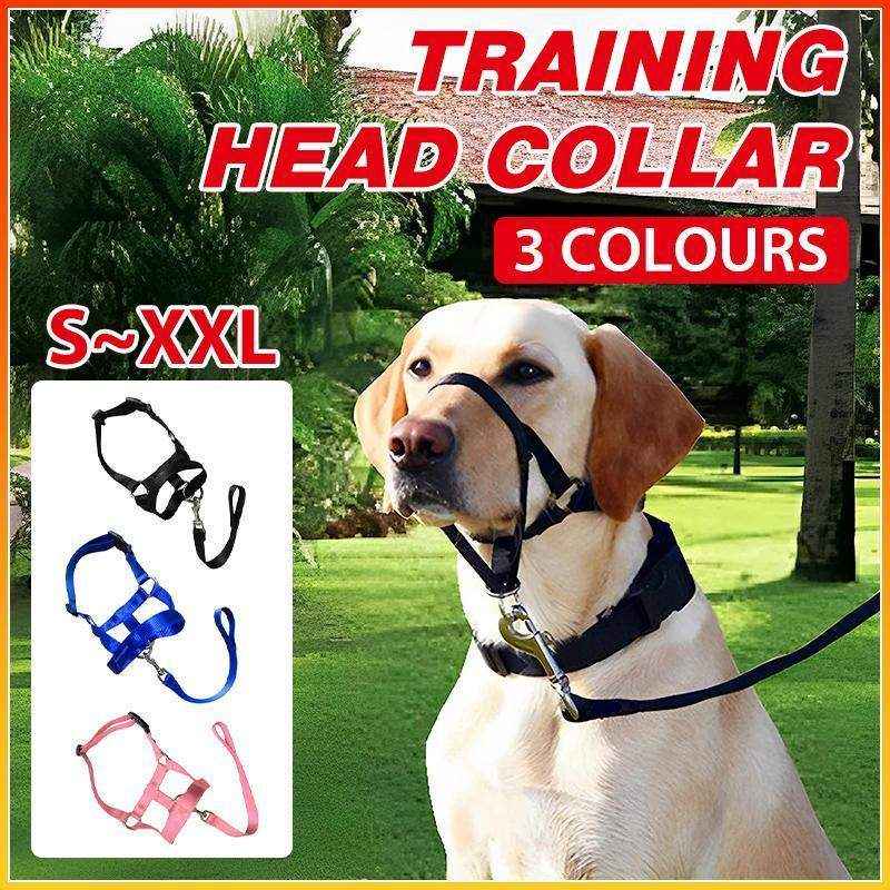 Adjustable Dog Muzzle Head Halter for Anti-Pull Training & Control
