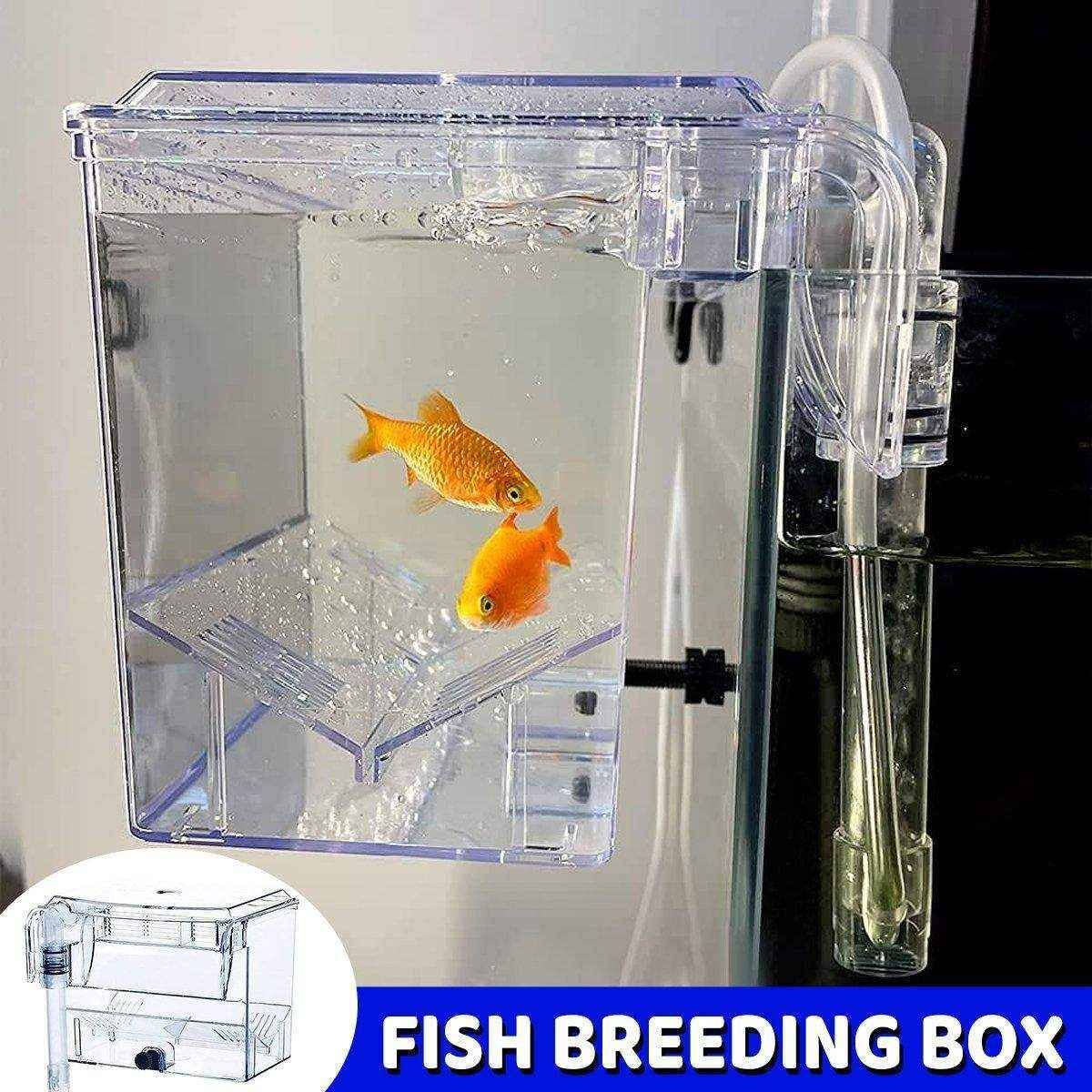 Fish isolation box, durable fish breeding box, transparent aquarium breeding solution