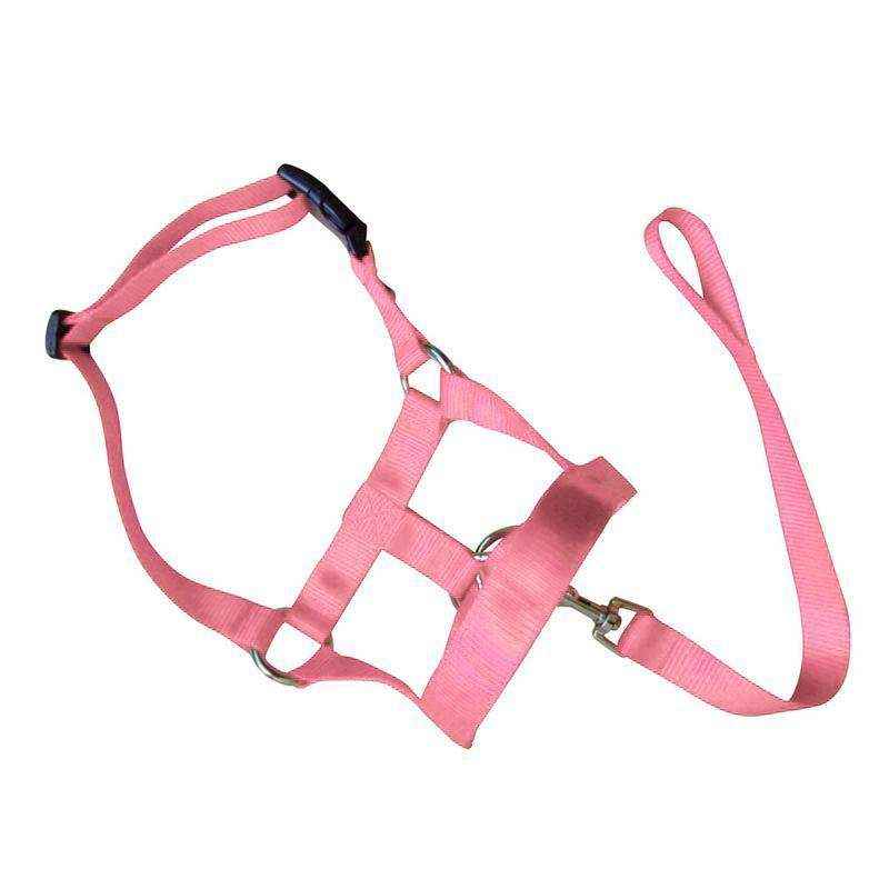 Adjustable Dog Muzzle Head Halter for Anti-Pull Training & Control
