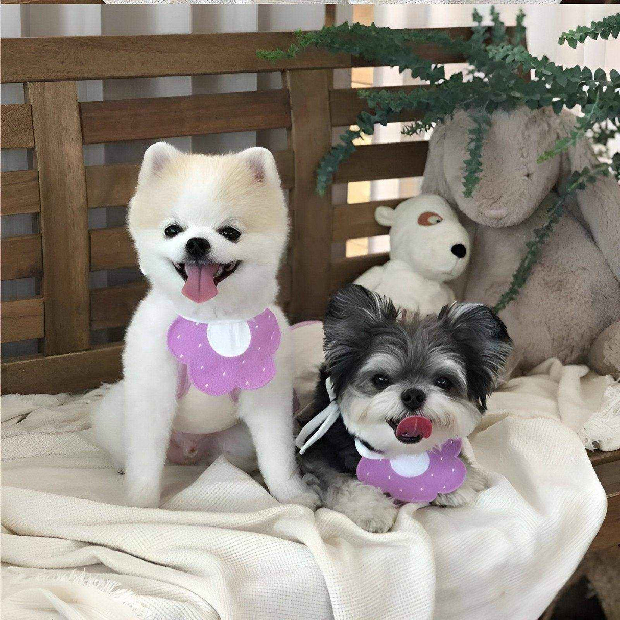 Adorable Dog Bibs with Flower & Bee Design for Stylish Pets