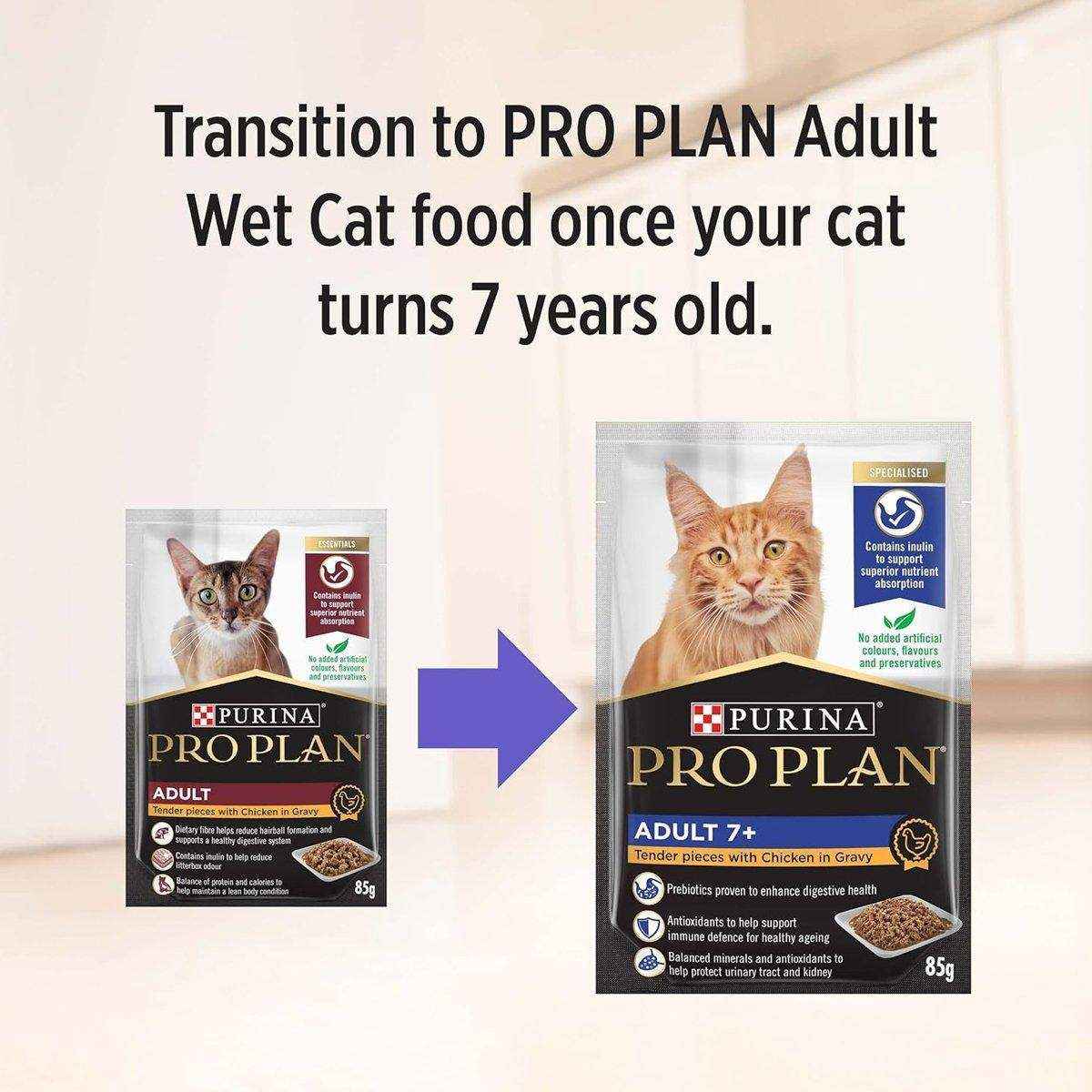 Pro Plan Cat Gravy Chicken Wet 12*85g