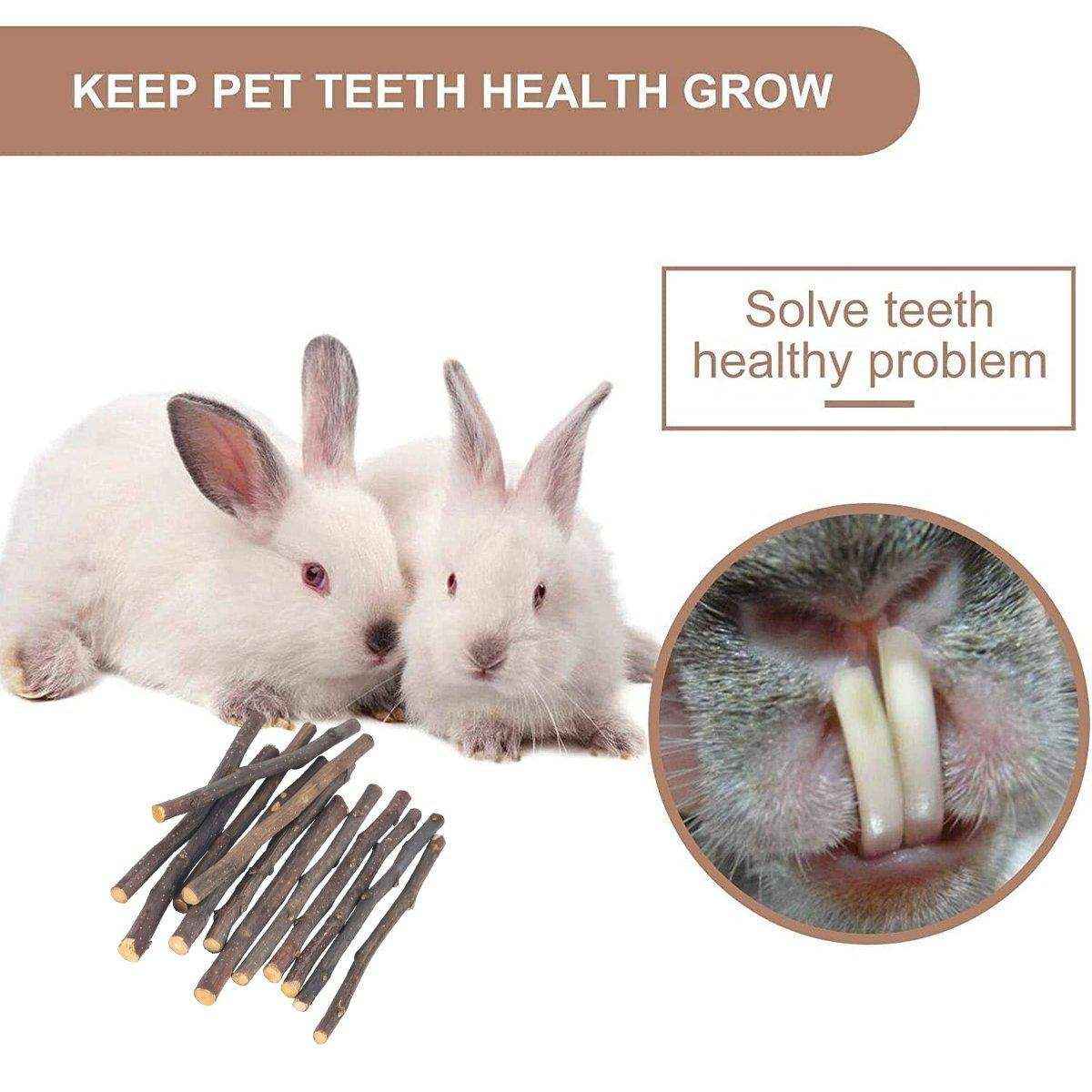 Natural Apple Sticks for Rabbits and Small Pet Chew Toy