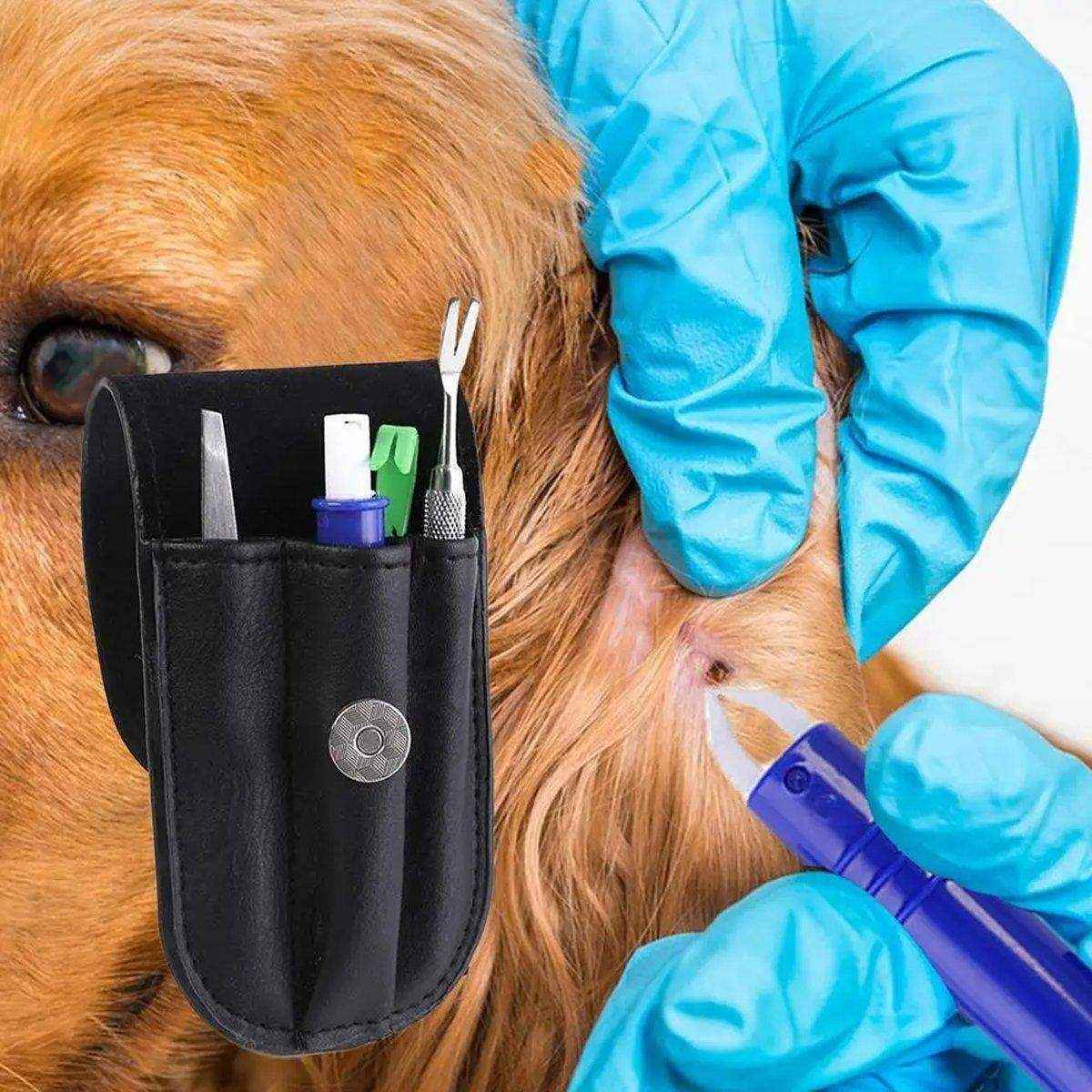 Tick Clip Pet Dog Lice Fork Flea Removal Tool Insect Catch Tweezers Tool Flea Hook