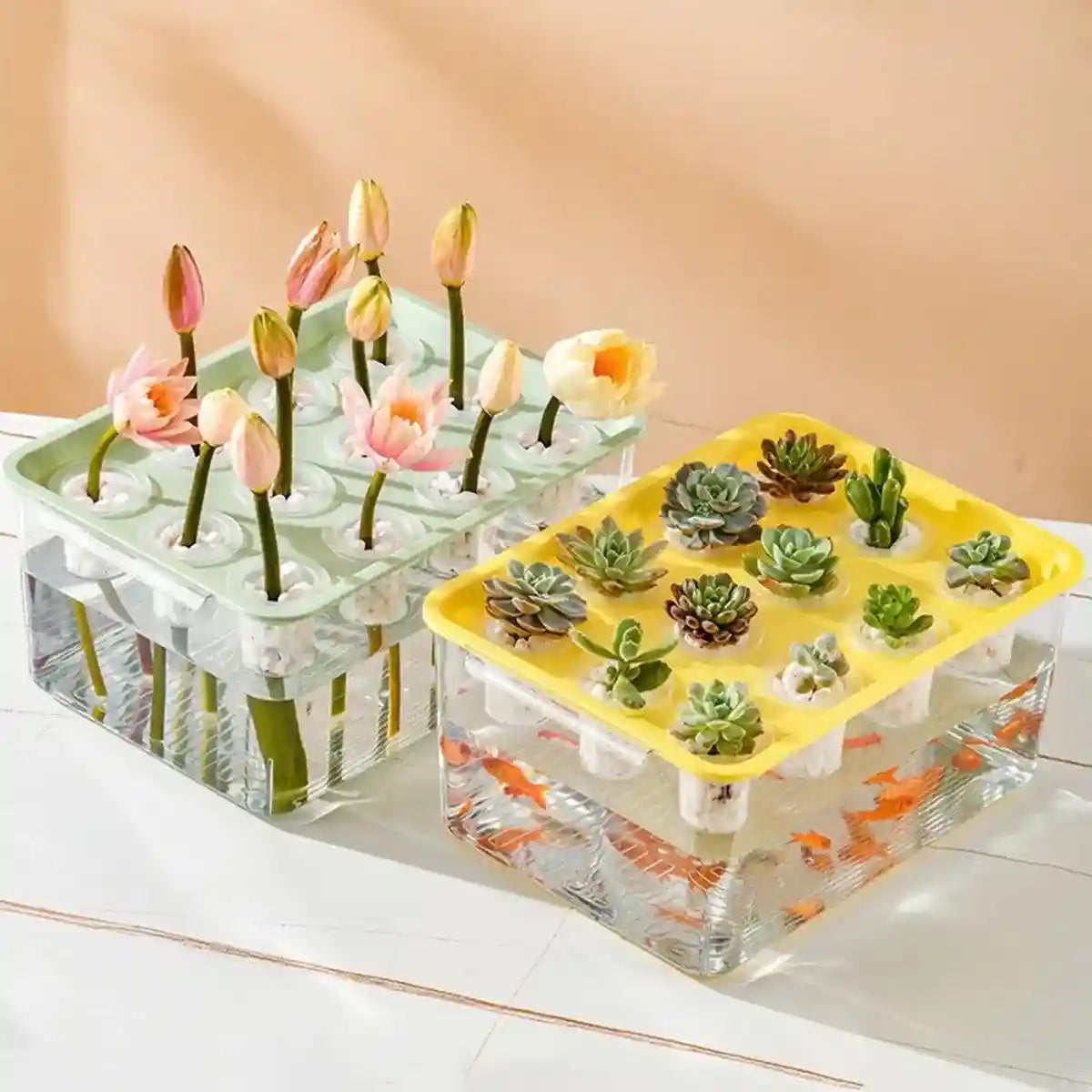 Transparent Rectangular Aquarium 12Hole Lid Portable Hydroponic Plant Fish Tank