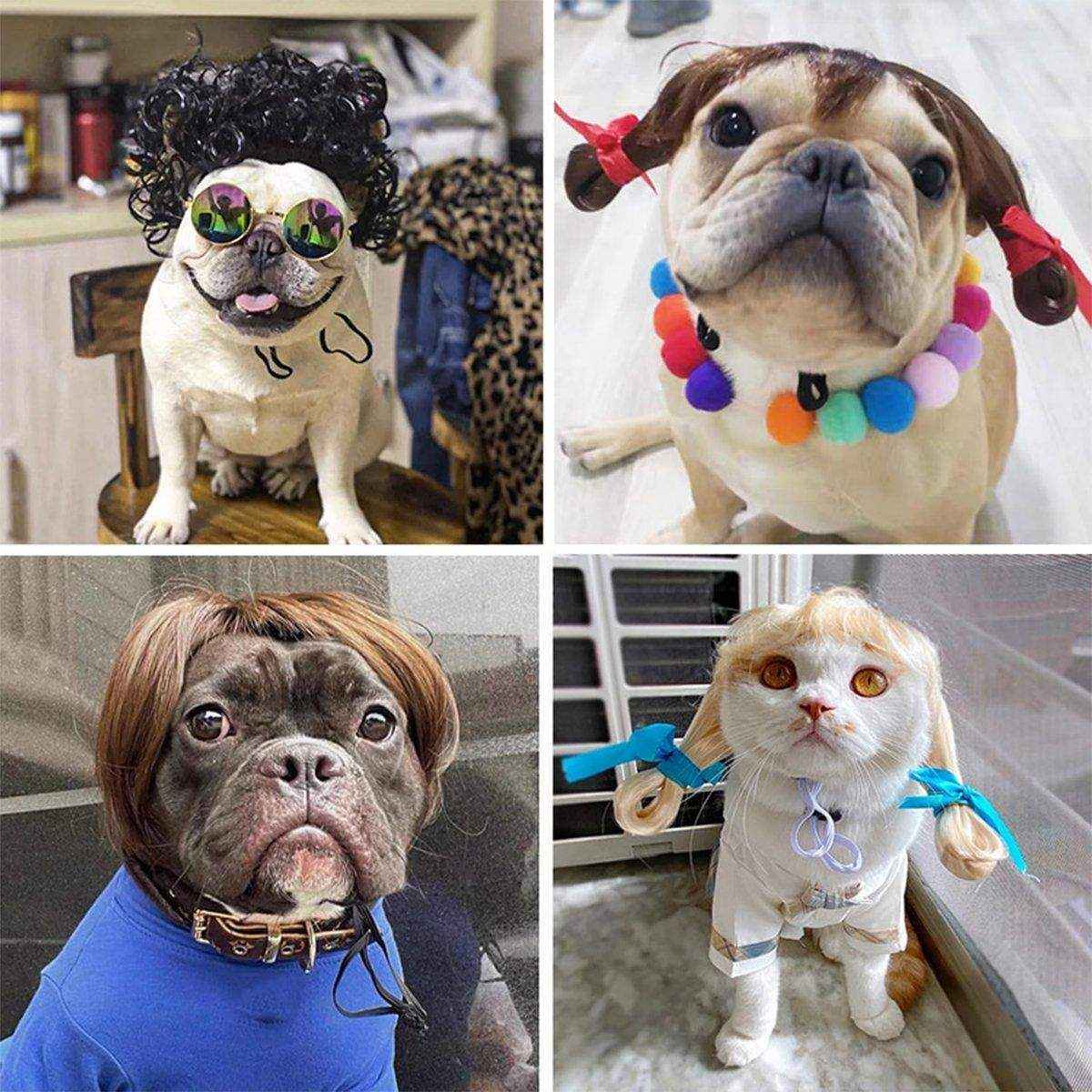 Stylish Funny Pet Wig With Bangs Fun and Comfortable