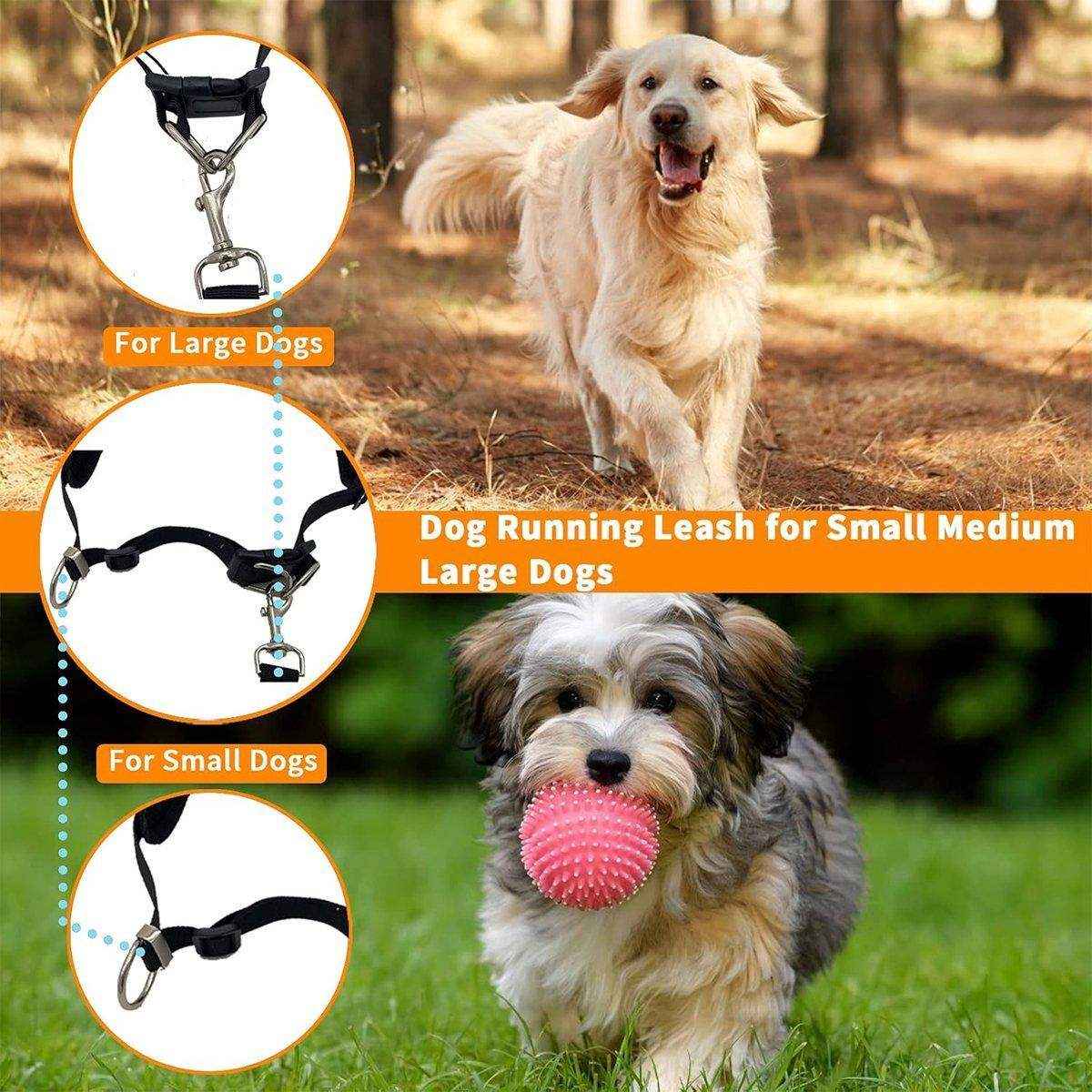 Pet Running Sports Traction Suit Belt Waist Pack Multi-color Reflective Traction Rope Collar Plus Belt