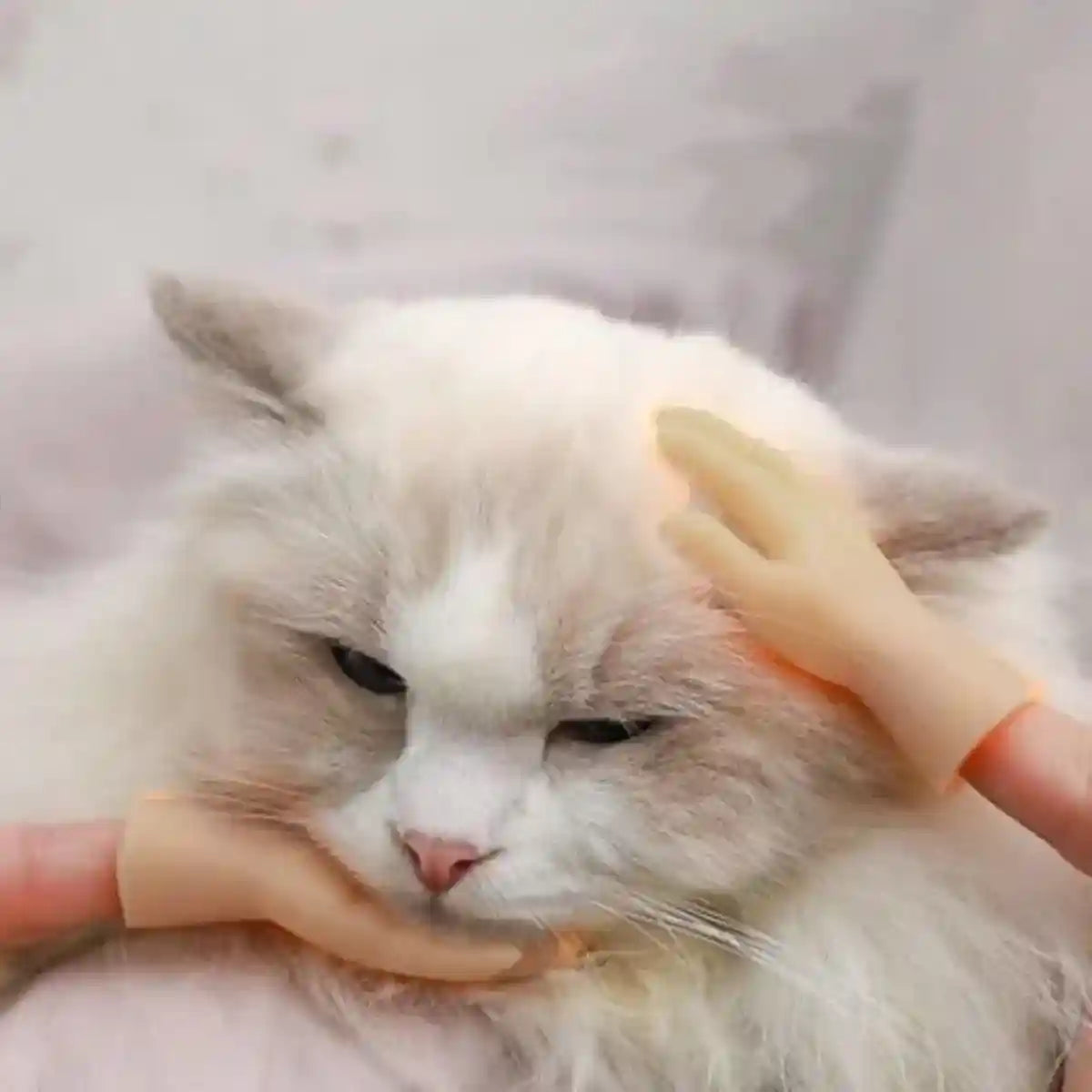 6PCS Cute Cat Finger Covers Soft Rubber Stretchy Mini Simulation Hands Fun Toy