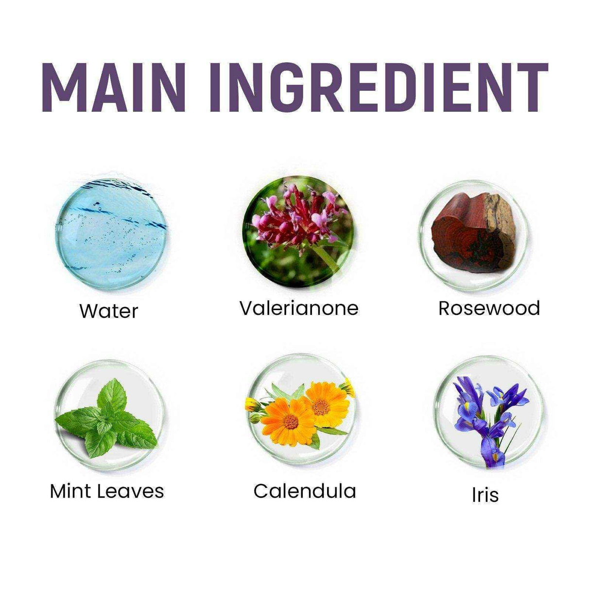 Pet Perfume Walking Beads Relax Pet Emotion Relieve Dog Anxiety Pet Ball Perfume