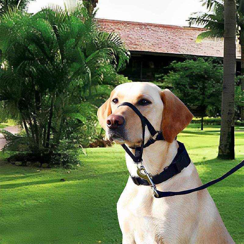 Adjustable Dog Muzzle Head Halter for Anti-Pull Training & Control