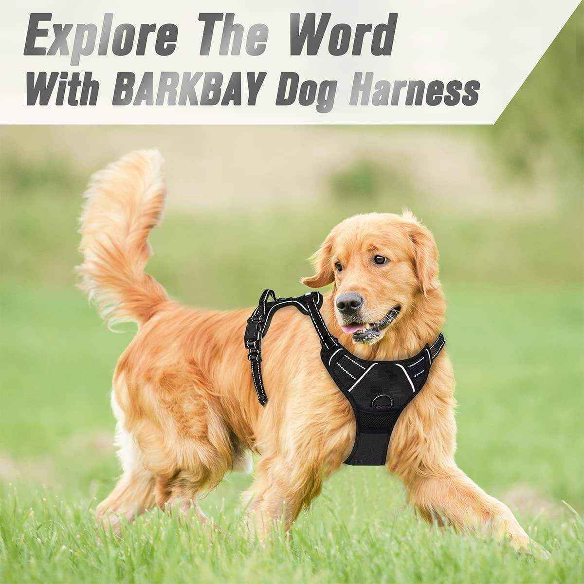 Adjustable No-Pull Dog Harness for Safe & Comfortable Walks S-XL