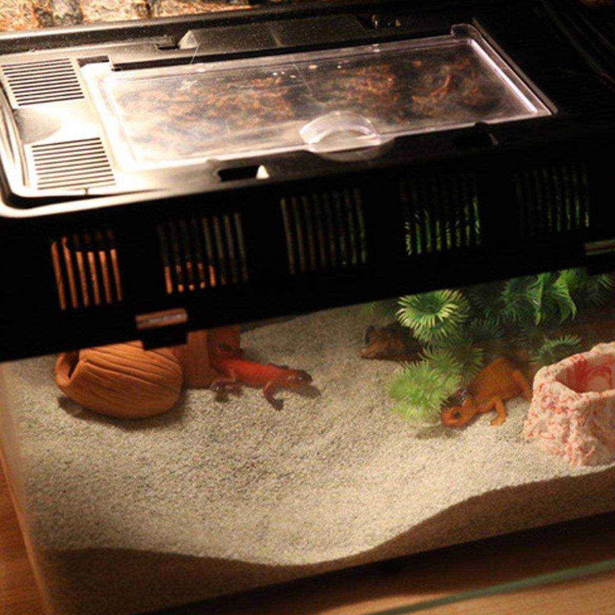 Sand Climbing Tortoise Snake Lizard Spider Pet Sand Multi-color Decoration