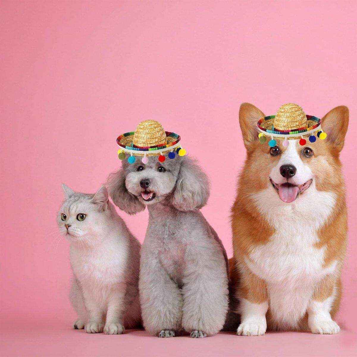 Striped Triangle Pet Towel & Fur Ball Straw Hat Scarf Set, Colorful Pet Accessories