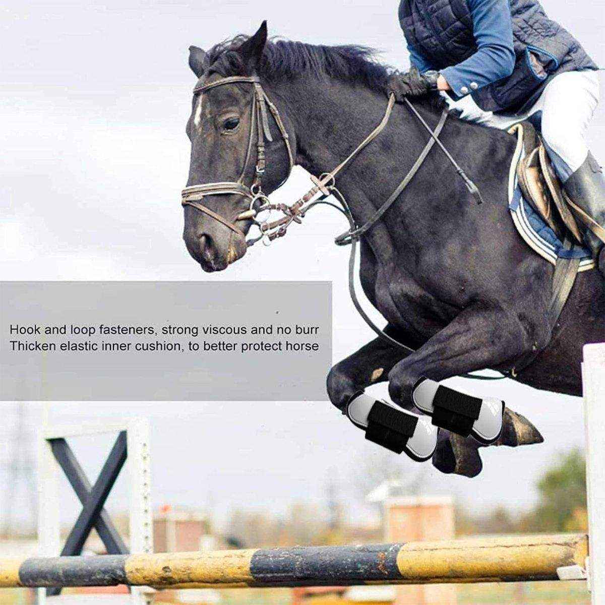 Durable Horse Riding Chaps for Comfort and Protection