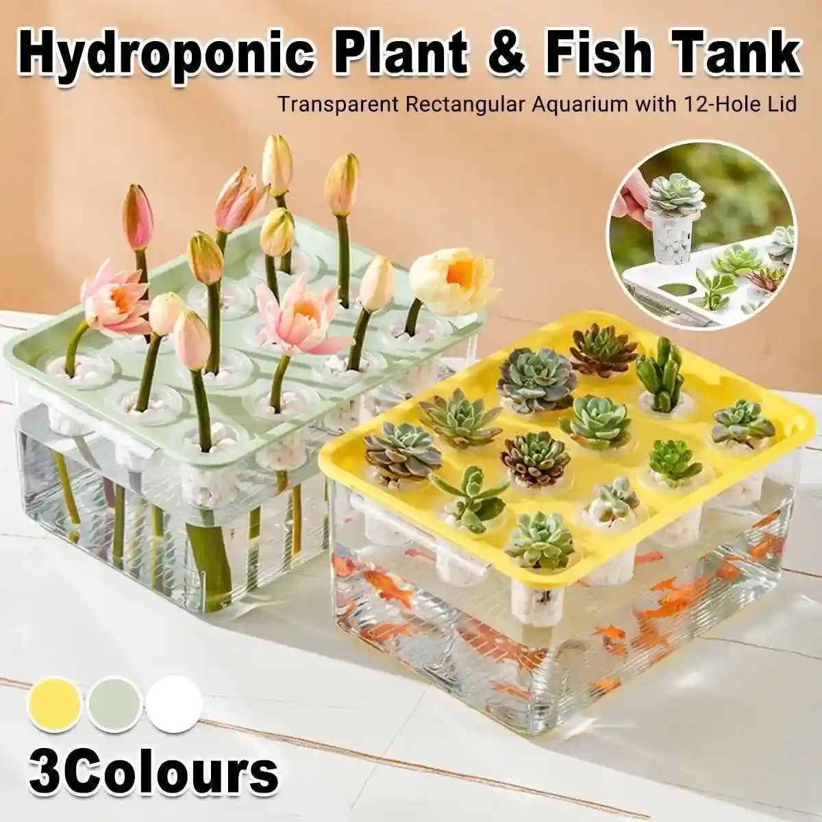 Hydroponic Fish Tank – Dual Function Aquarium for Plants and Fish