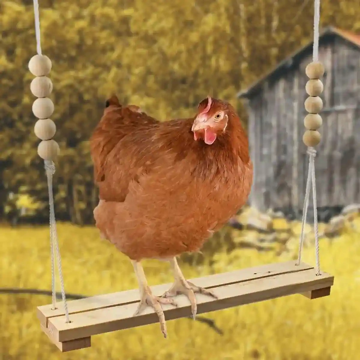 Durable Wooden Chicken Swing for Outdoor Poultry Coops