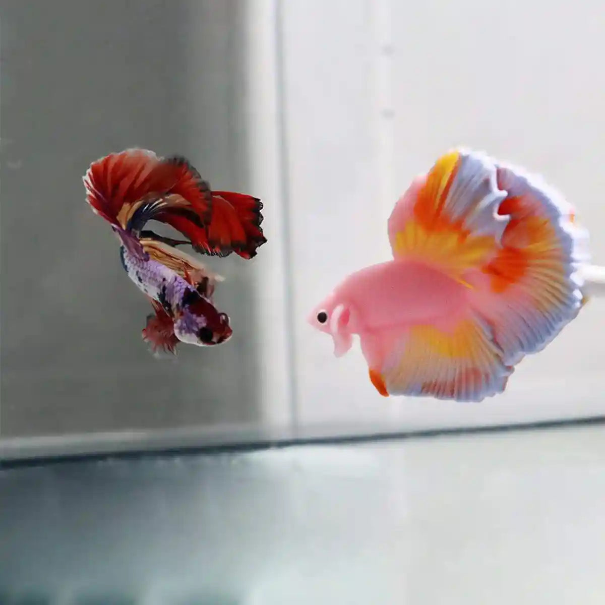 Fish Stick Training Pen Fish Interactive Toy