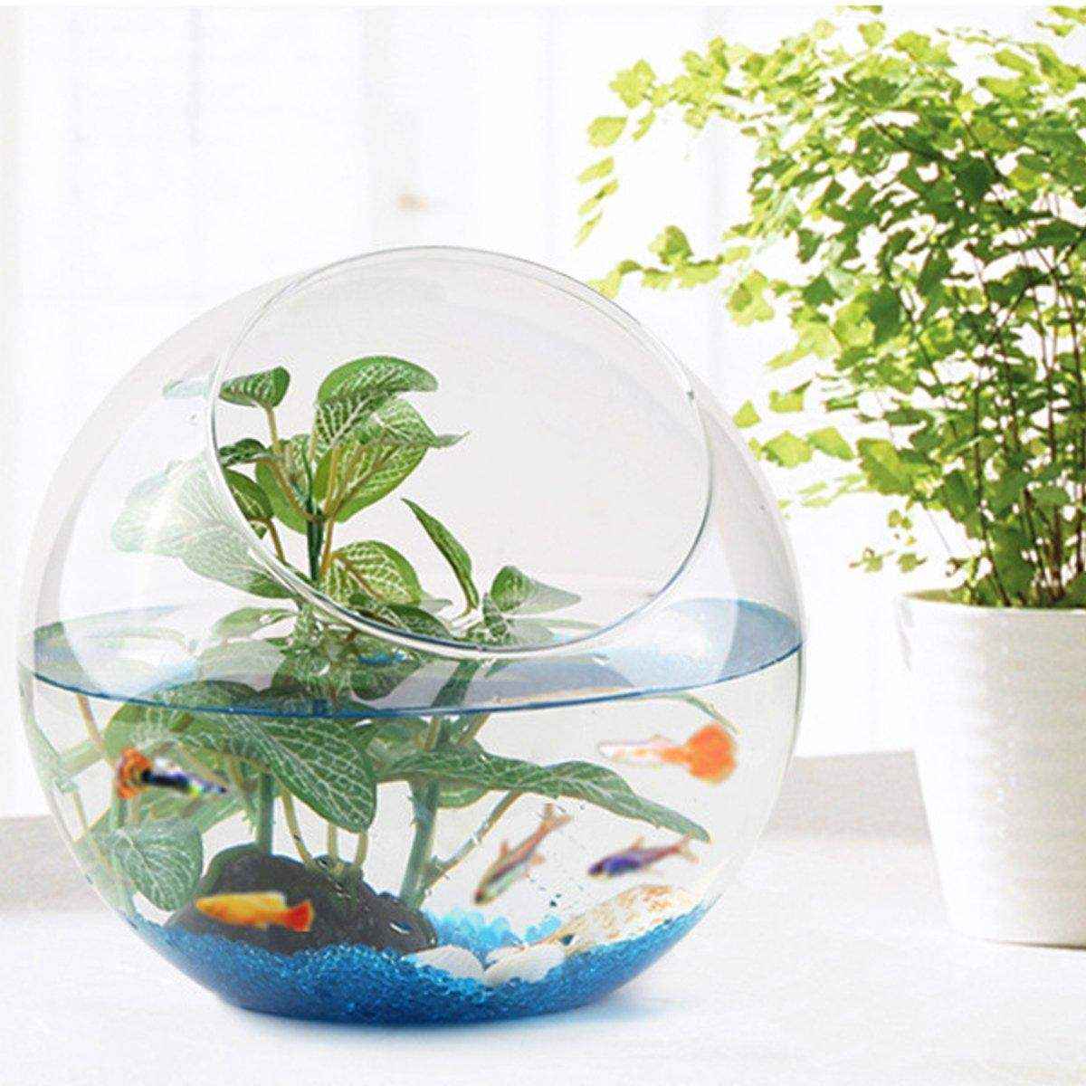 Fish Tank Bottom Sand Decorative Aquarium Stones for Freshwater & Saltwater