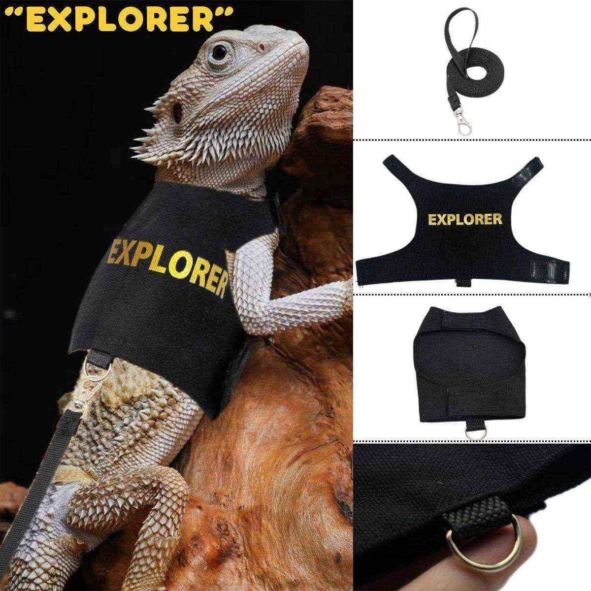 Lizard Leash Climbing Pet Out Chest Strap Chameleon Squirrel Leash