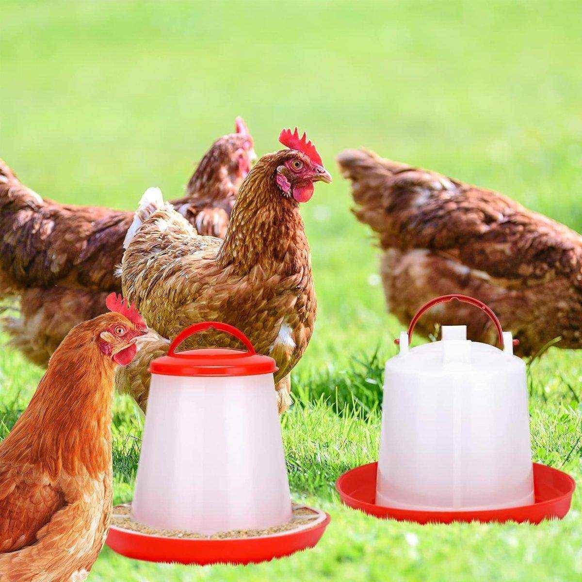Efficient Poultry Feeding Set with Automatic Chicken Feeder & Drinker