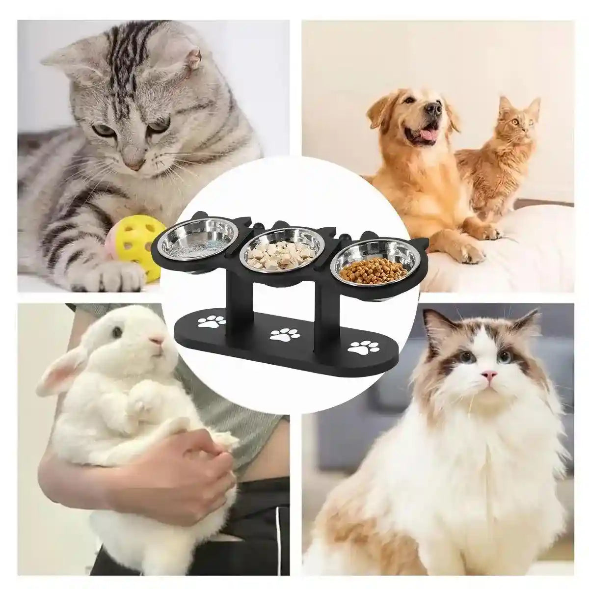 Non-Slip 3-in-1 Stainless Steel Pet Bowl For Dogs and Cats