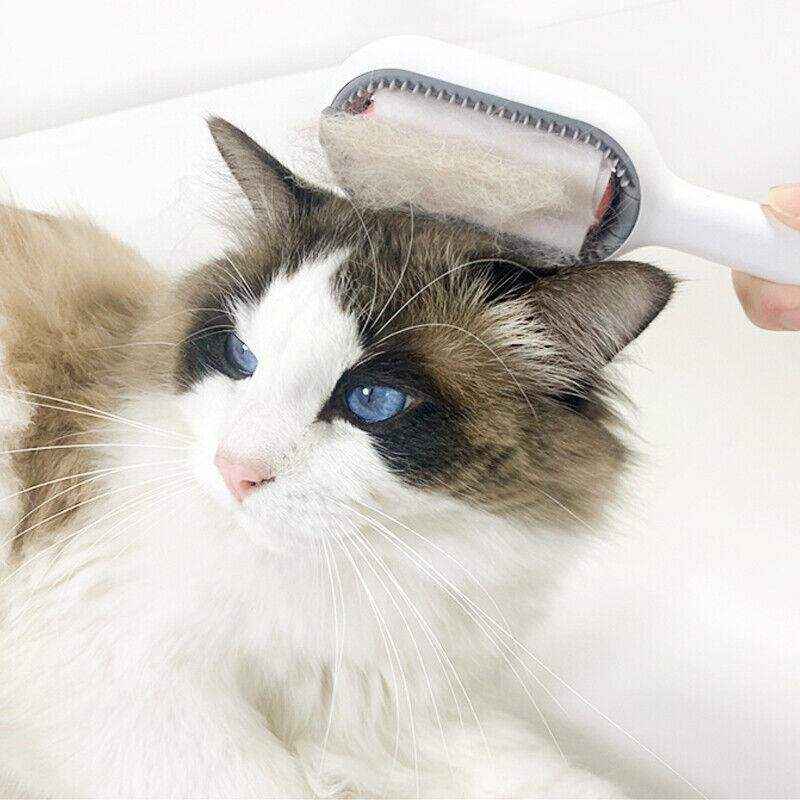Cat Deshedding Brushes for Effortless Grooming Hair Removal
